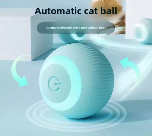 WhiskerWay PlayBall™